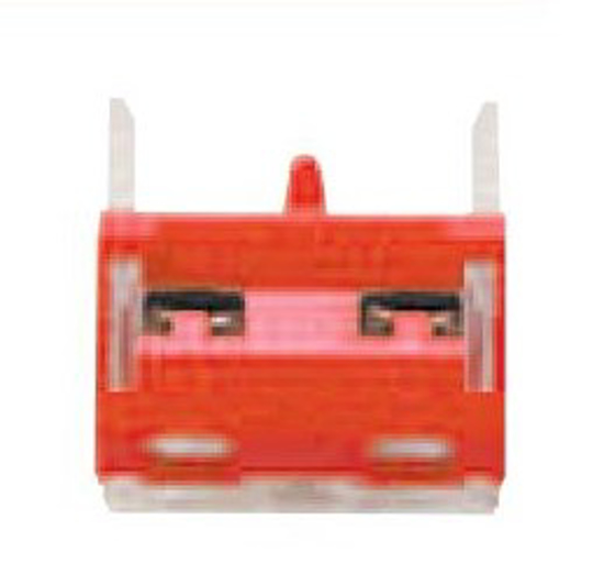 Picture of Contacto  1NF (VM)